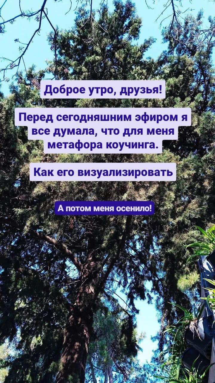 Фотография поста