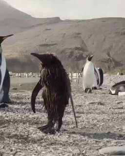 Наступает момент в жизни, когда тебя перестают... image preview