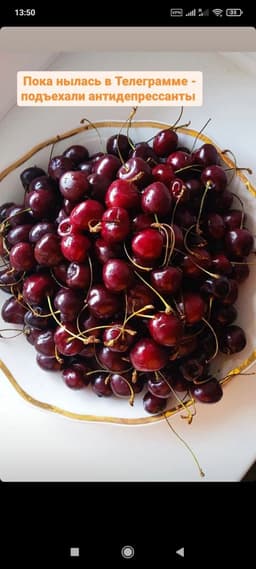 Самый действенный рецепт выхода из состояния "жизнь-тлен" за моим авторством. image preview