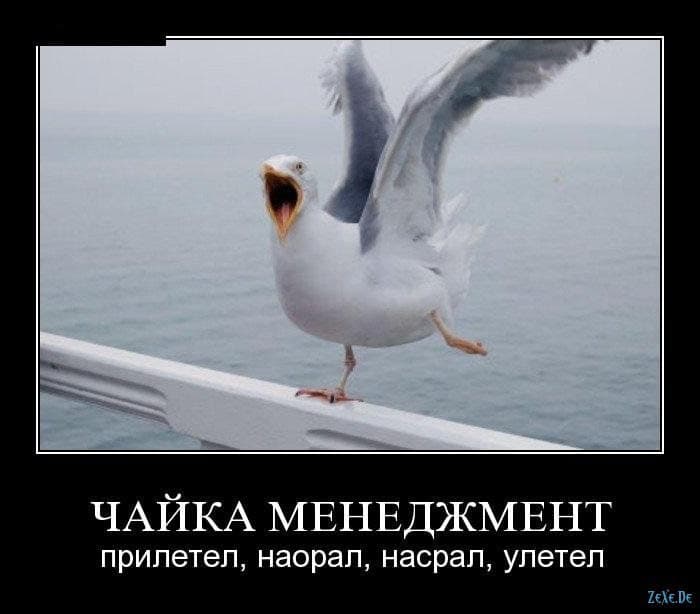 Фотография поста