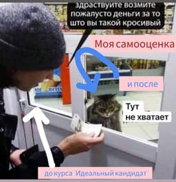 Я к чему спрашиваю про черную пятницу и "Идеального кандидата"😃 image preview