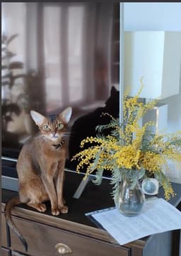 Не устали еще праздновать, а? image preview