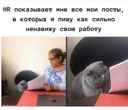 Пятничный #hrюмор 😃 image preview