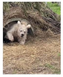 Настроение этим утром
@employeetears image preview