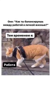 Фотография поста