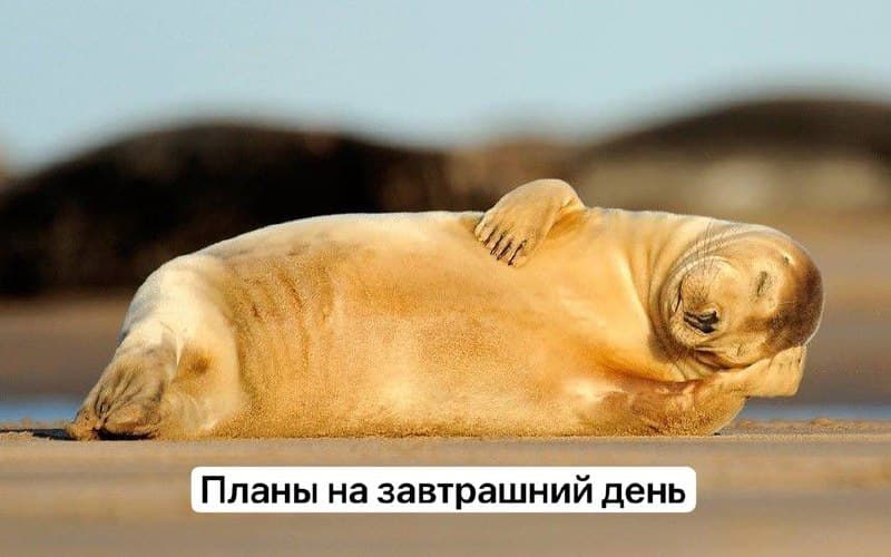 Фотография поста