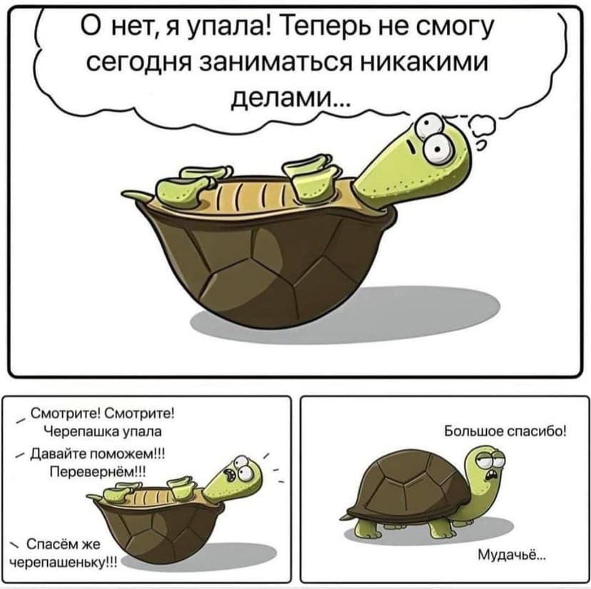 Фотография поста