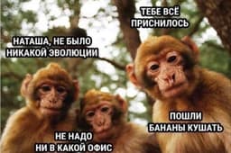 @employeetears
Прислать мем image preview