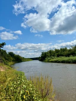 Ветер дальних странствий на исходе лета, ветер... image preview