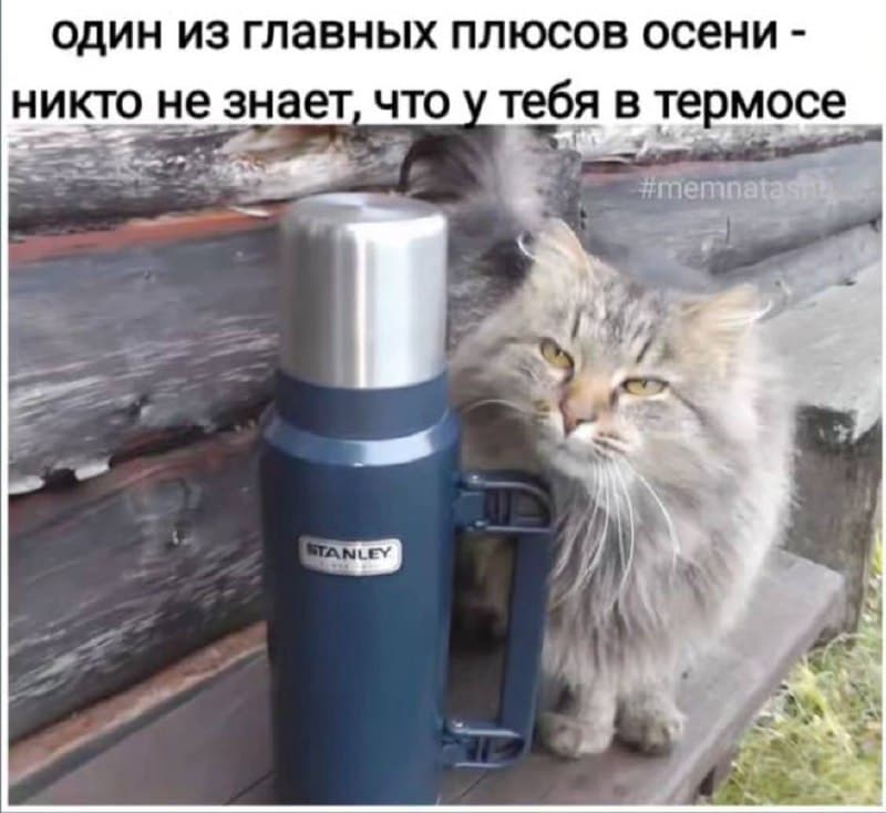 Фотография поста