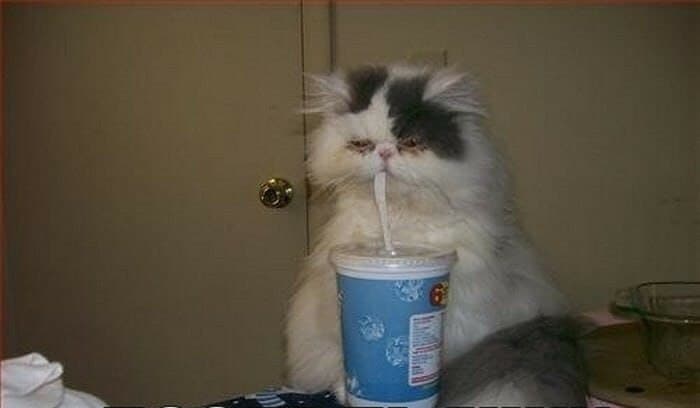 Фотография поста