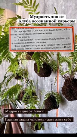 Мудрость под завершение воскресного дня. image preview