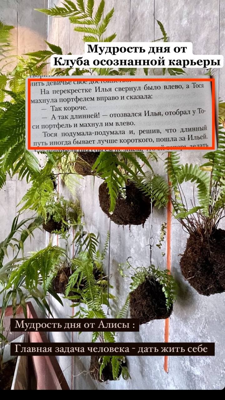 Мудрость дня от Алисы: Главная задача человека - дать жить себе