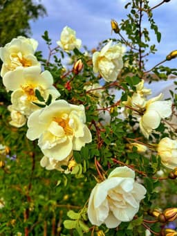 Это завтра. А сегодня 5 часов живого общения с... image preview