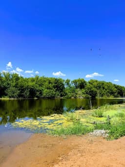 #субботнийКонтент завтра работа, сегодня - природа ❤️ image preview