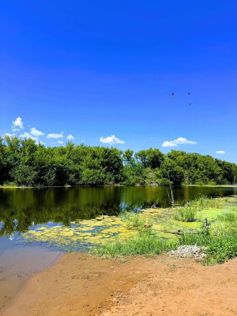 Фотография поста