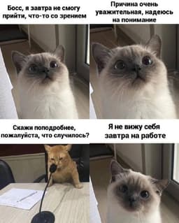 #hrюмор Ставьте 🔥, если вы как этот котик) image preview