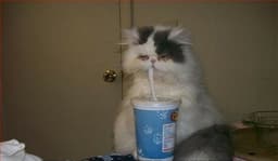 Проснулись?😃 image preview