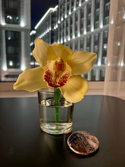 О, это был прохладный день в чудесном городе Петровом... image preview