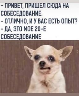 Пятничный #HRюмор😃 image preview