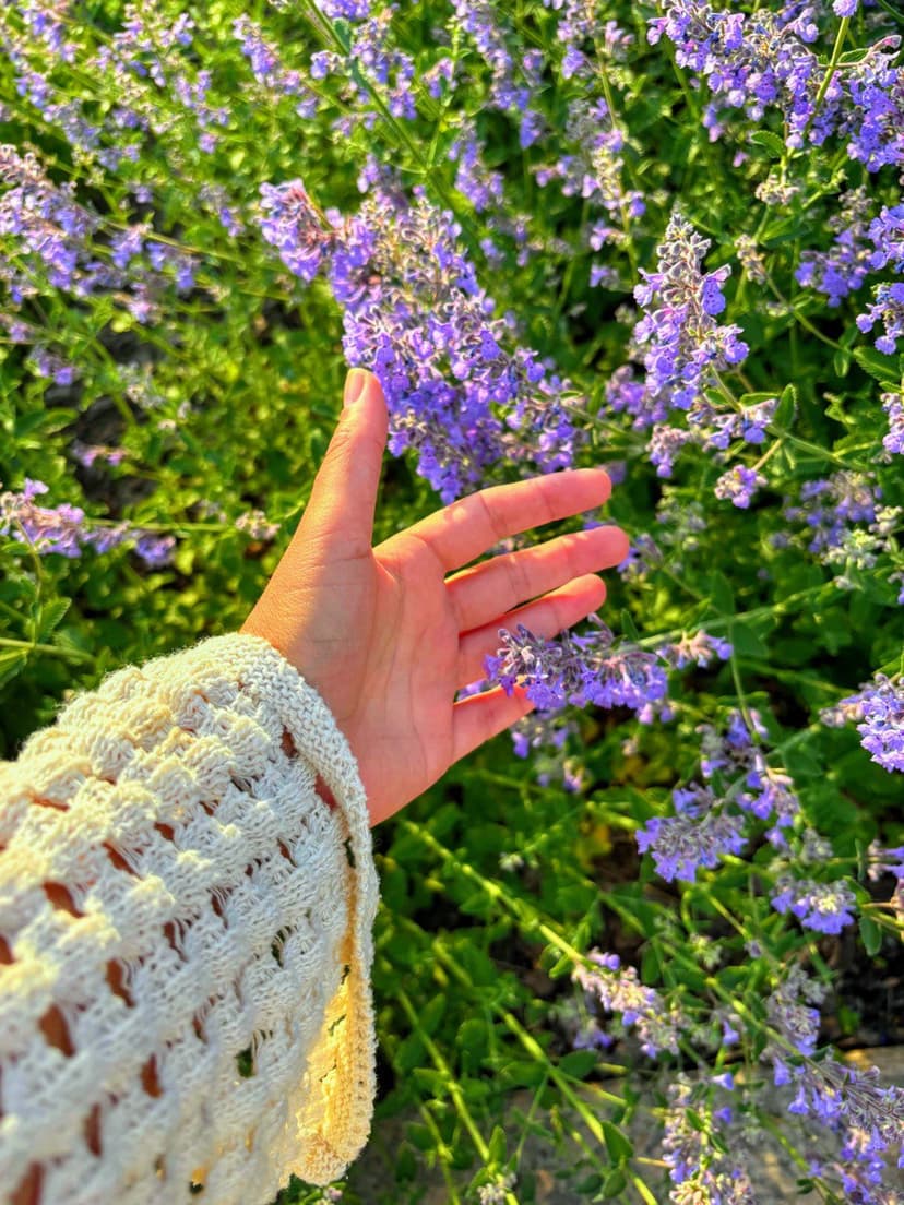 Фотография поста