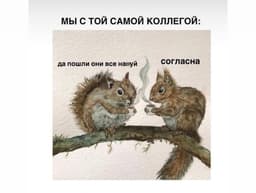 Вот так и никак иначе выглядит настоящая поддержка! image preview