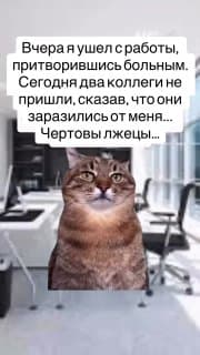 Пятничный #hrюмор в студию 😄🤪 image preview