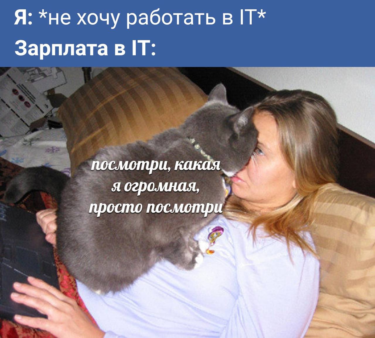 Hr юмор: IT и принятие решений image preview