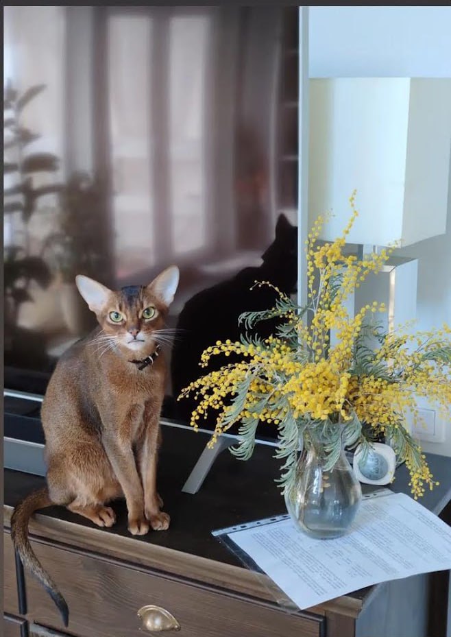 Стимулирующий пост с активностями на 1 апреля image preview