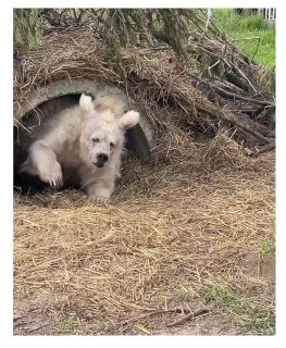 Настроение этим утром от @employeetears image preview