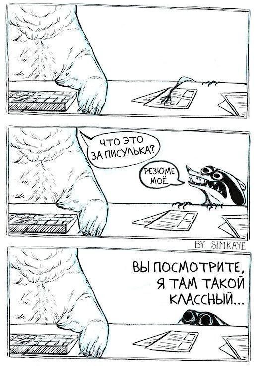 Вебинар через 2 часа: ошибки в поиске работы image preview