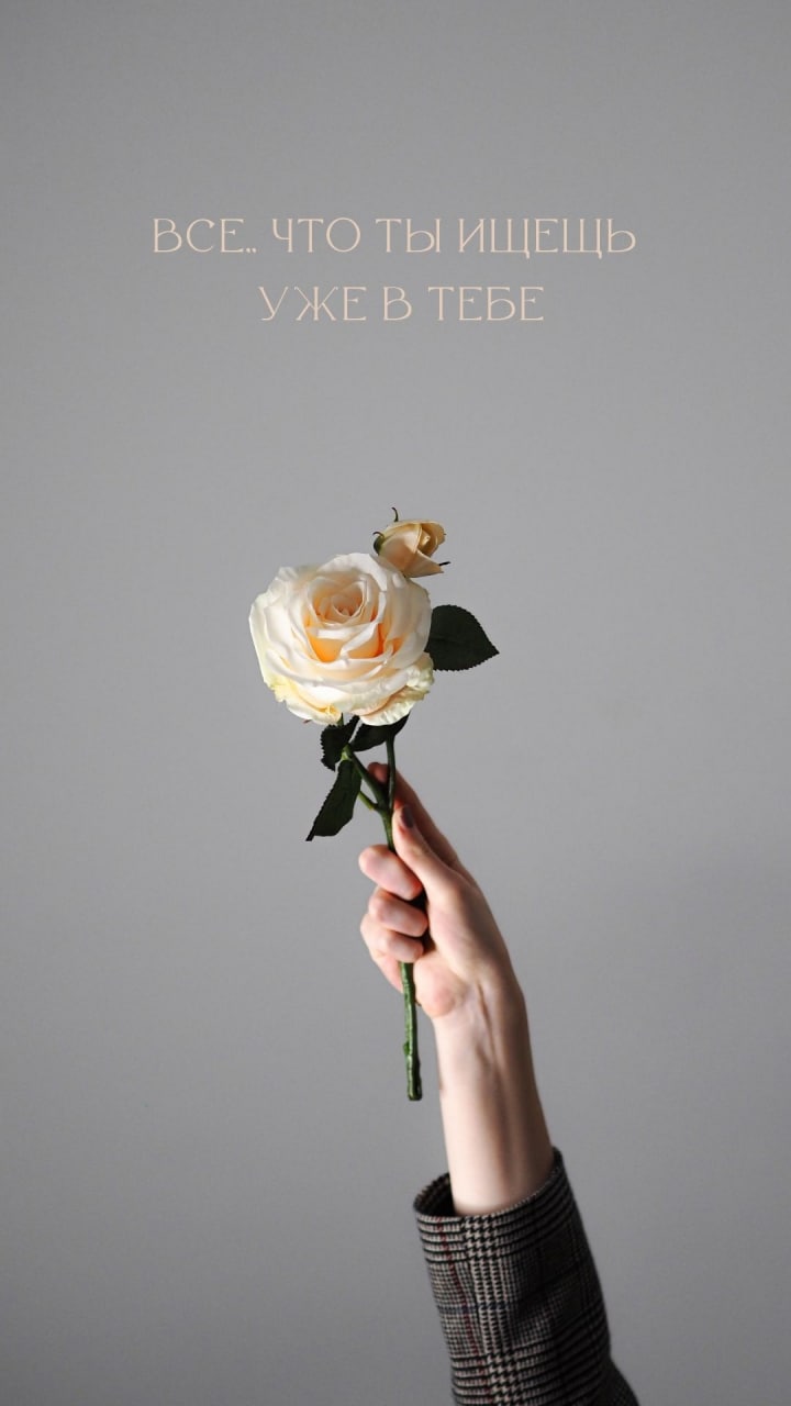 Заставки для телефона image preview