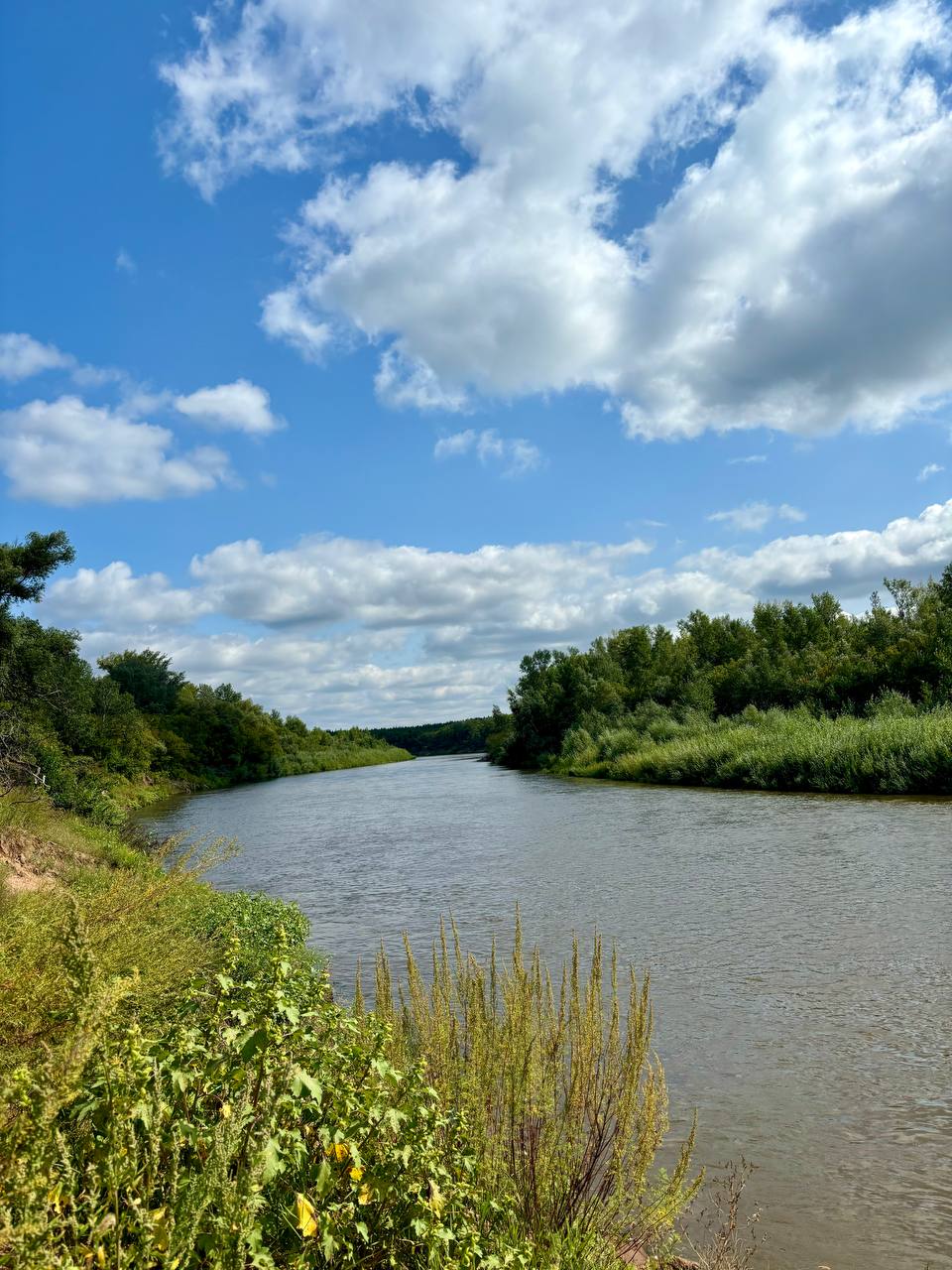 Ветер дальних странствий на исходе лета, ветер... image preview