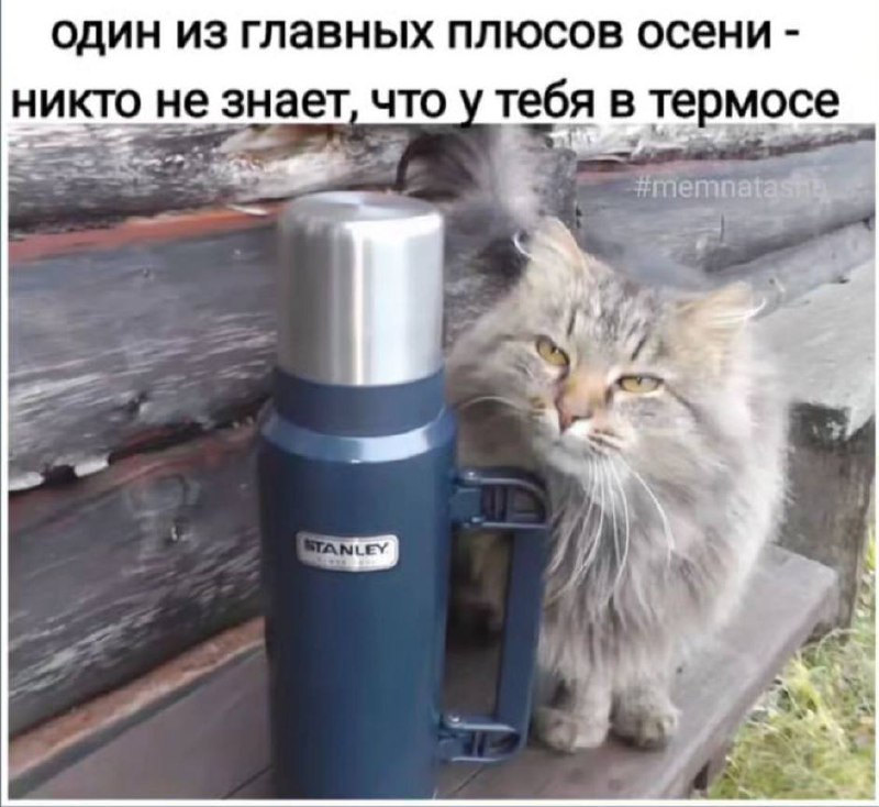 А что у вас в термосе сегодня? image preview