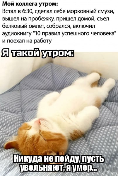 Коллеги которые сводят всех с ума image preview