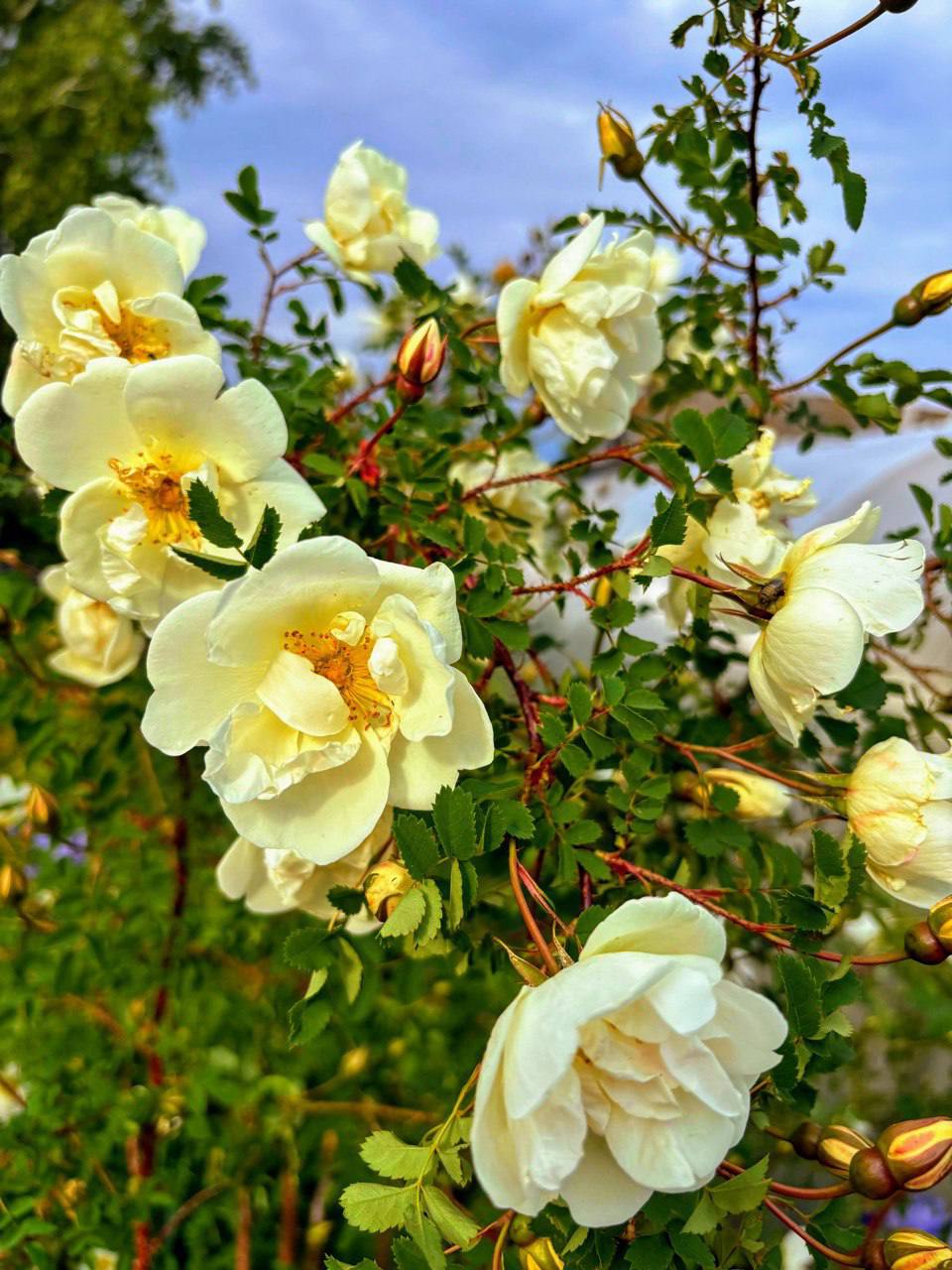 5 часов общения с группой в Клубе и на Перезагрузке image preview