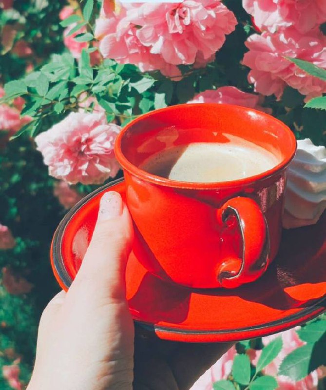 Июнь подходит к концу, и по всем канонам image preview