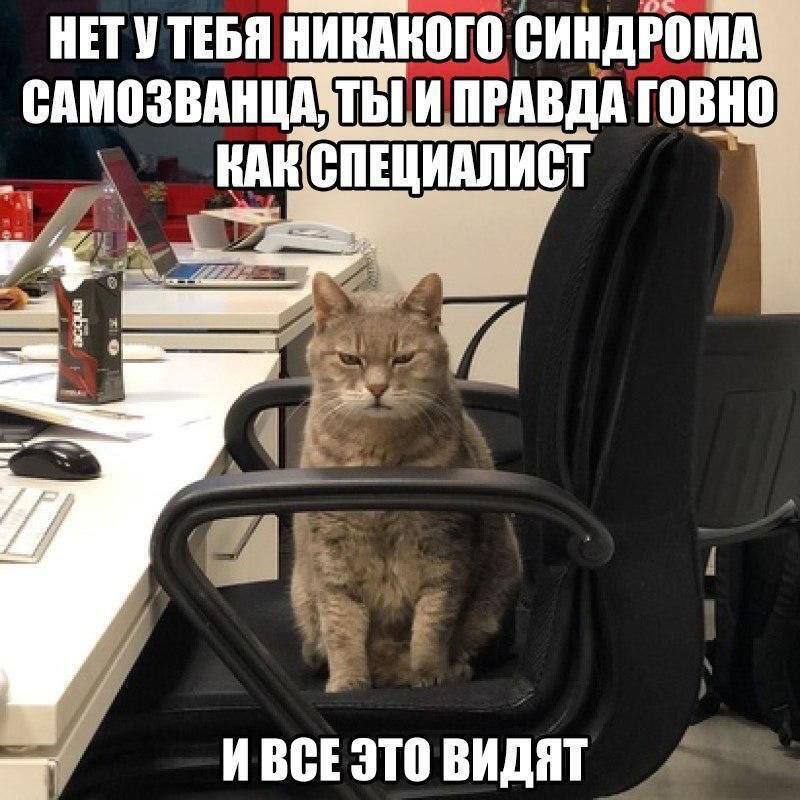 HR-юмор и мемы image preview