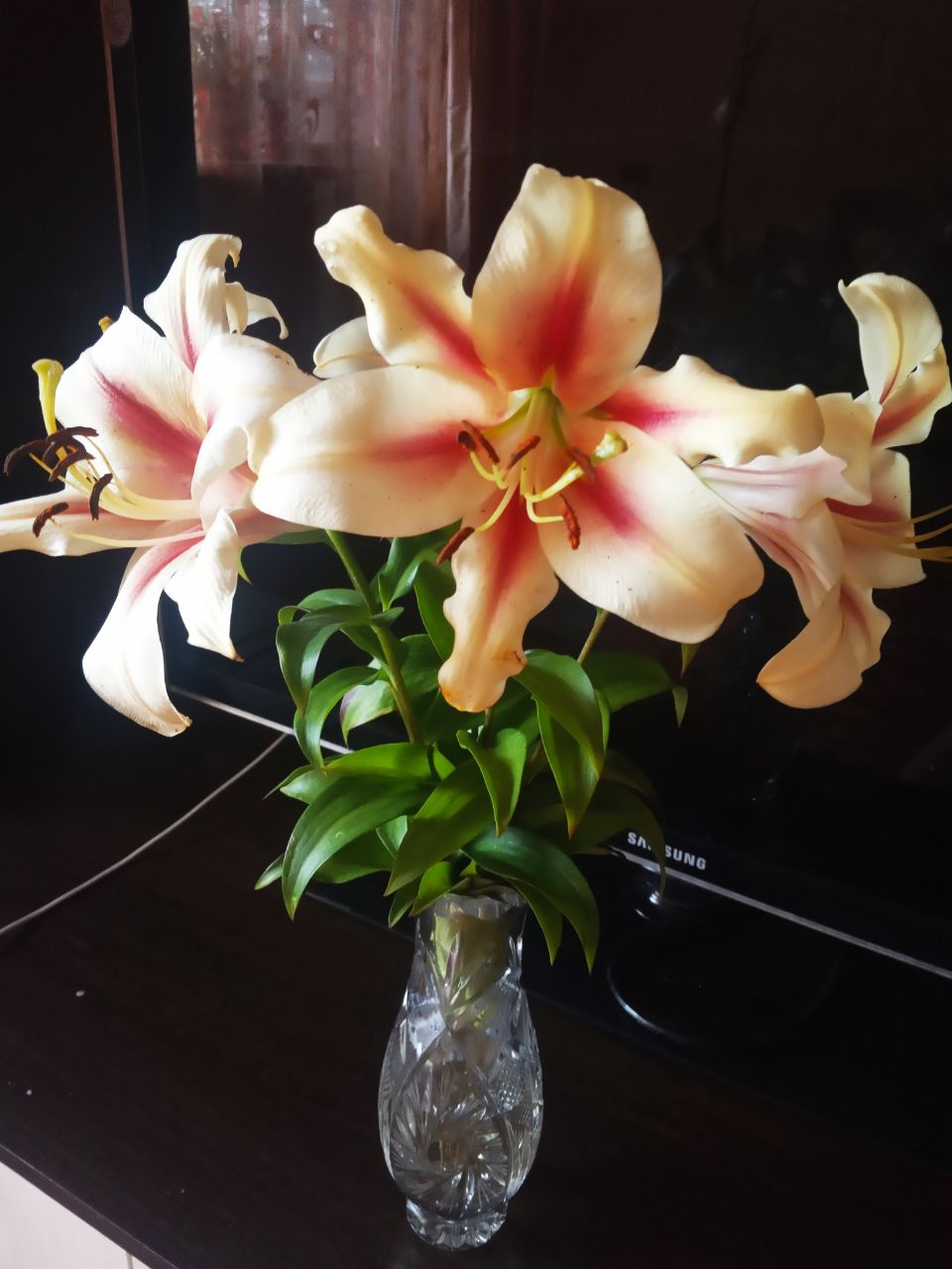 Фотография поста