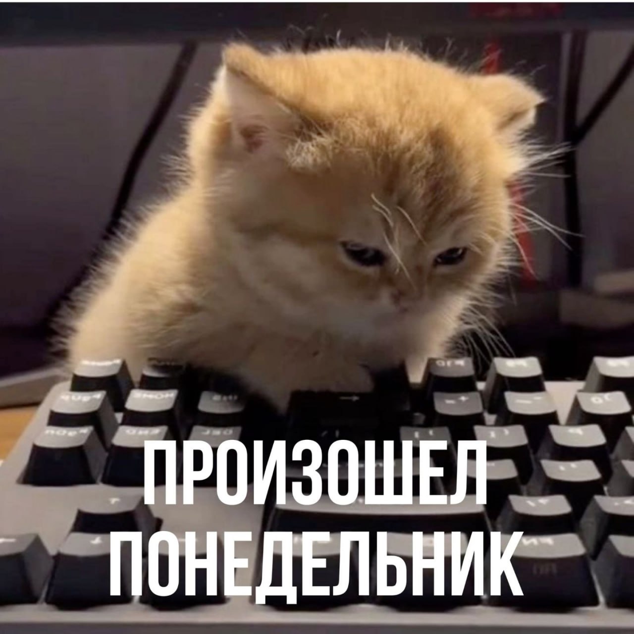 Утренняя апатия на работе: как вернуть мотивацию image preview