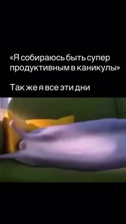 Ленивое воскресенье. Сегодня же воскресенье, да?😀 image preview