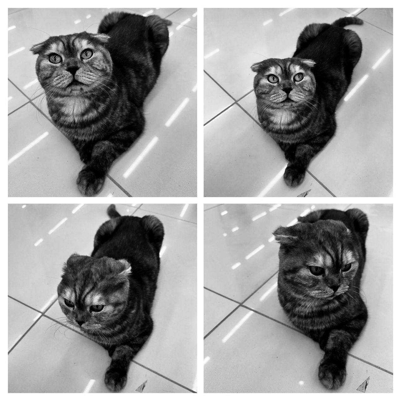 Фотография поста