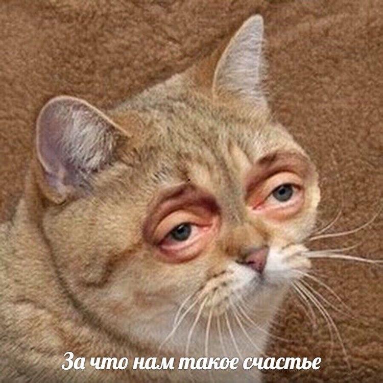 Фотография поста