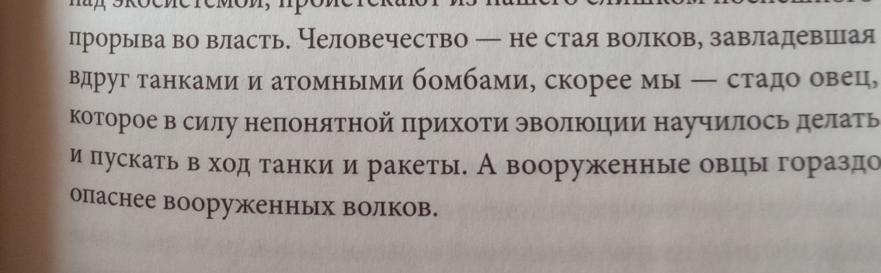 Мысли о книге Сэпиенс image preview